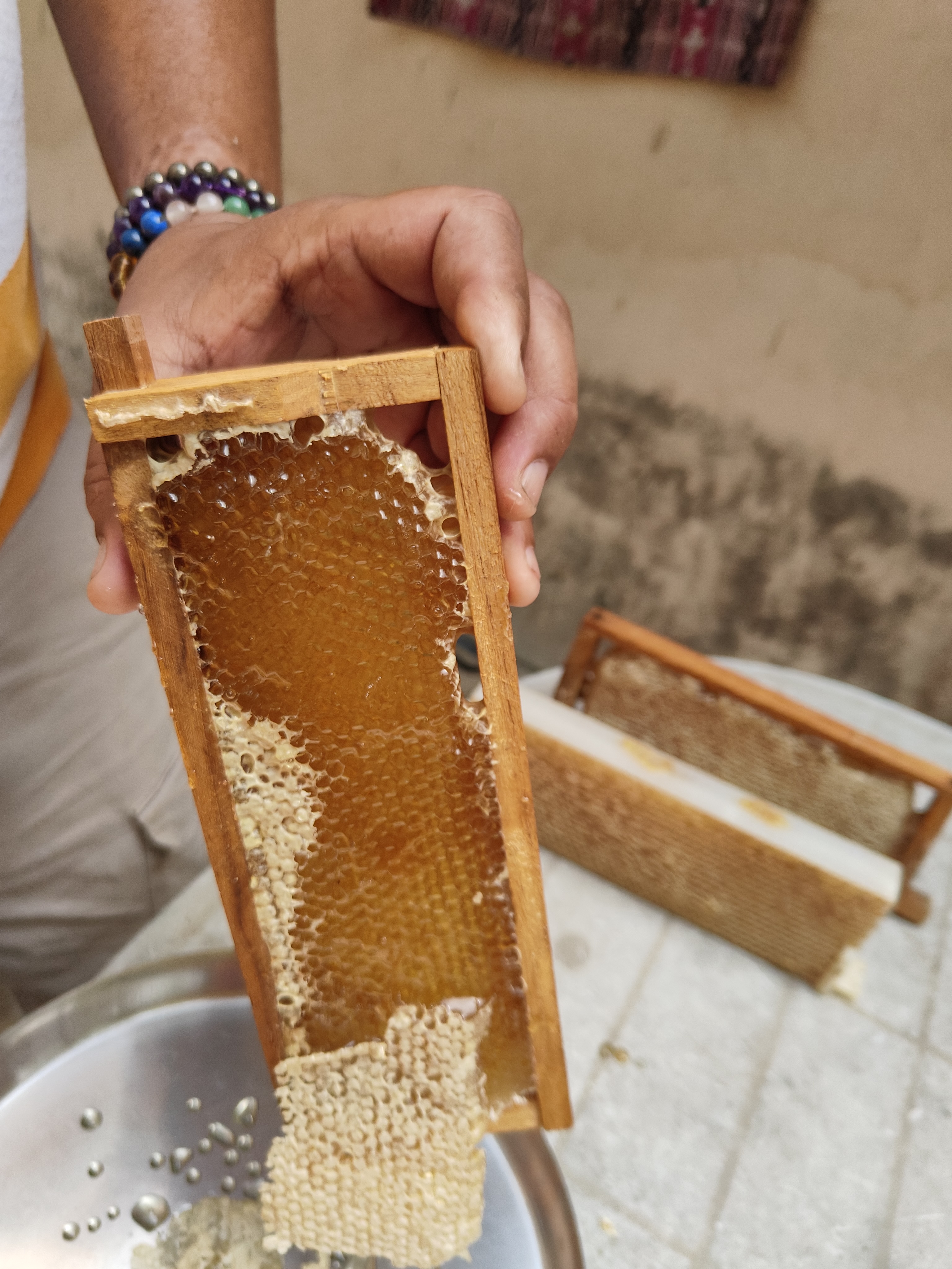 A beekeeper at work, showing traditional and sustainable harvesting